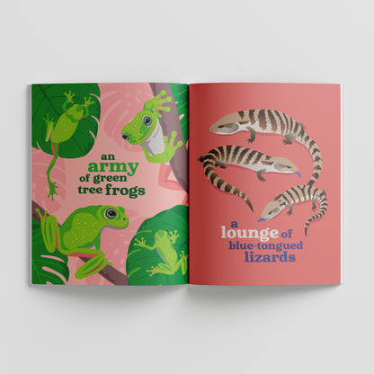 Collective Nouns of Australian Animals paperback picture book by Sarah Epstein